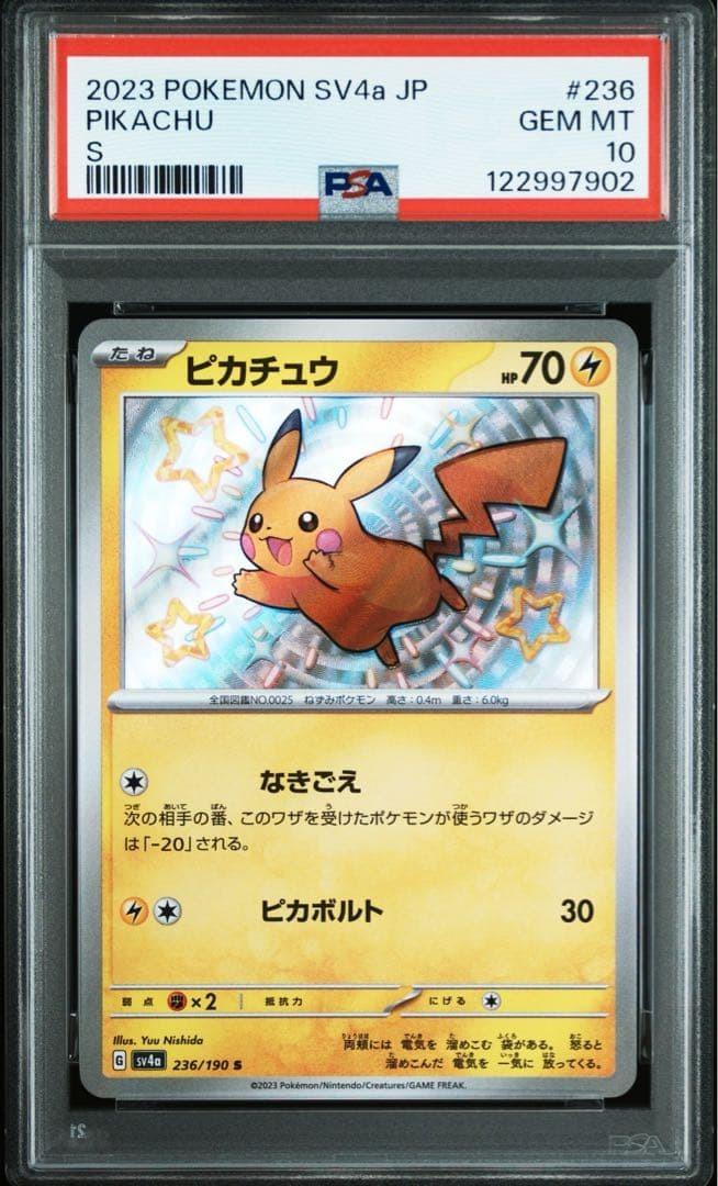 2023 Pikachu