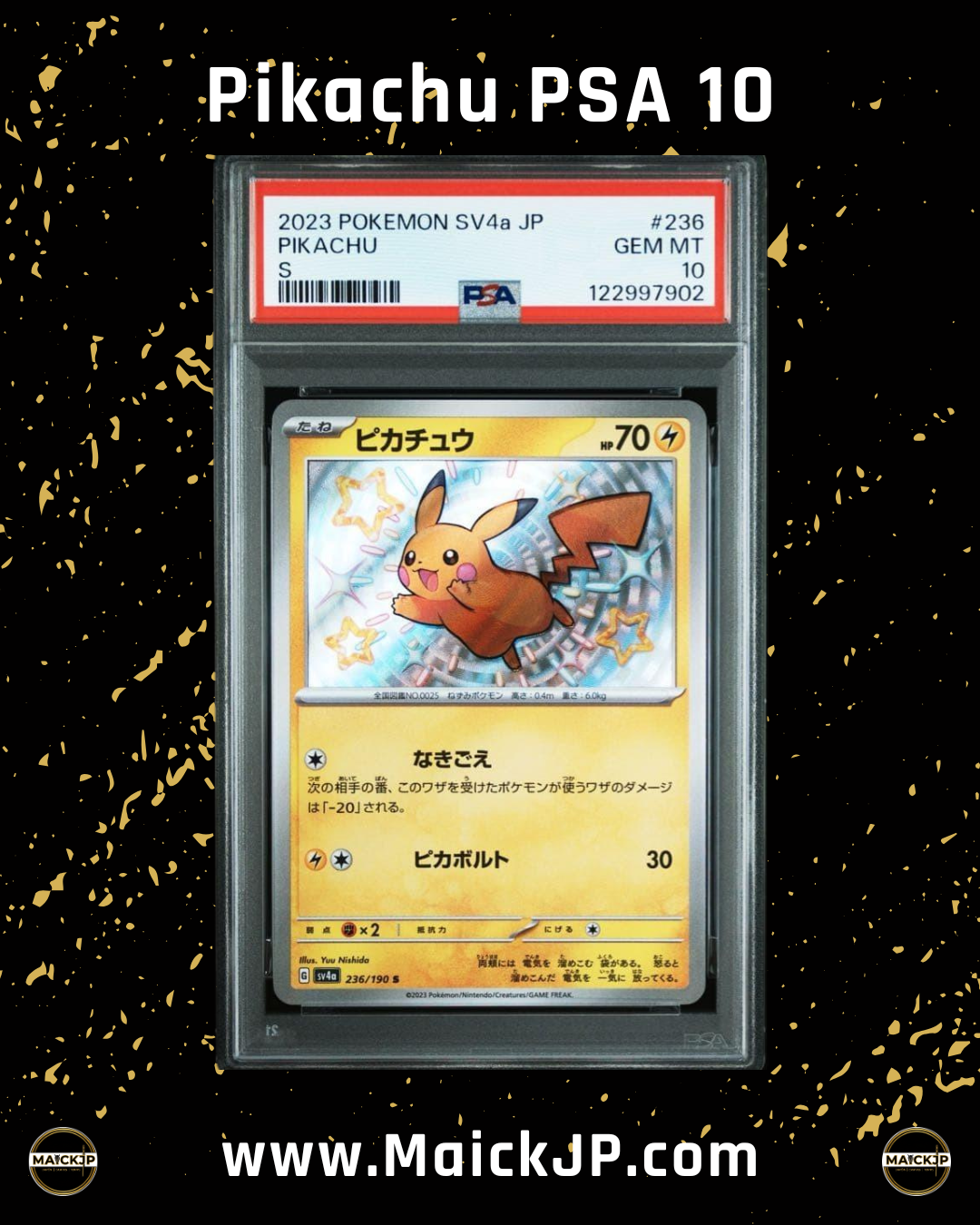 2023 Pikachu