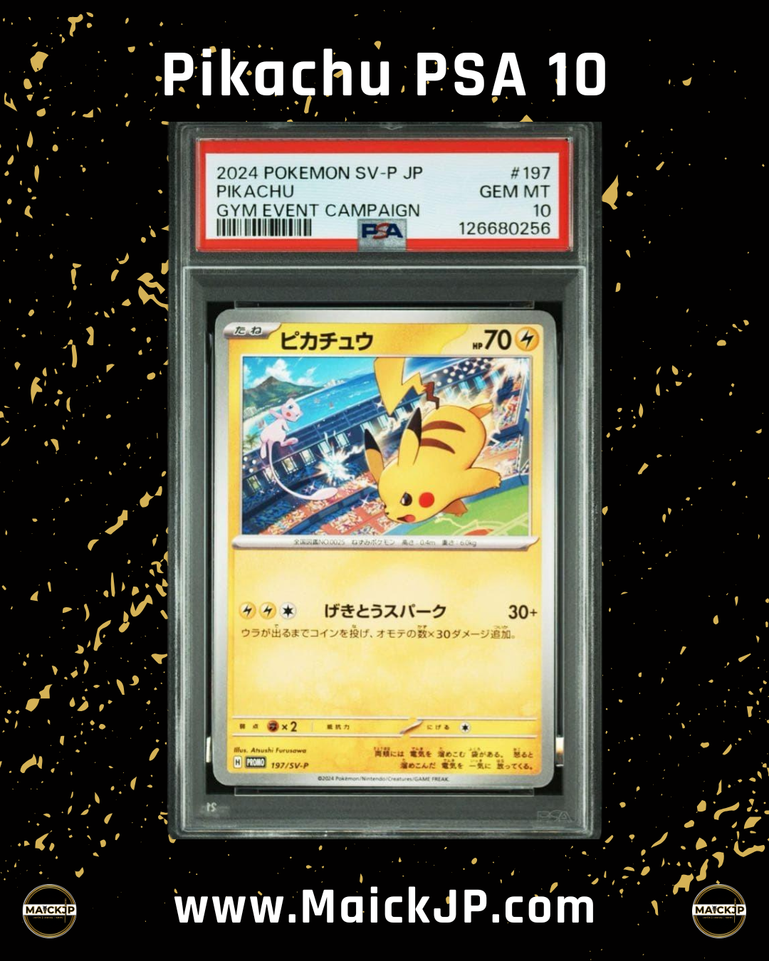 Pikachu Gym PSA 10