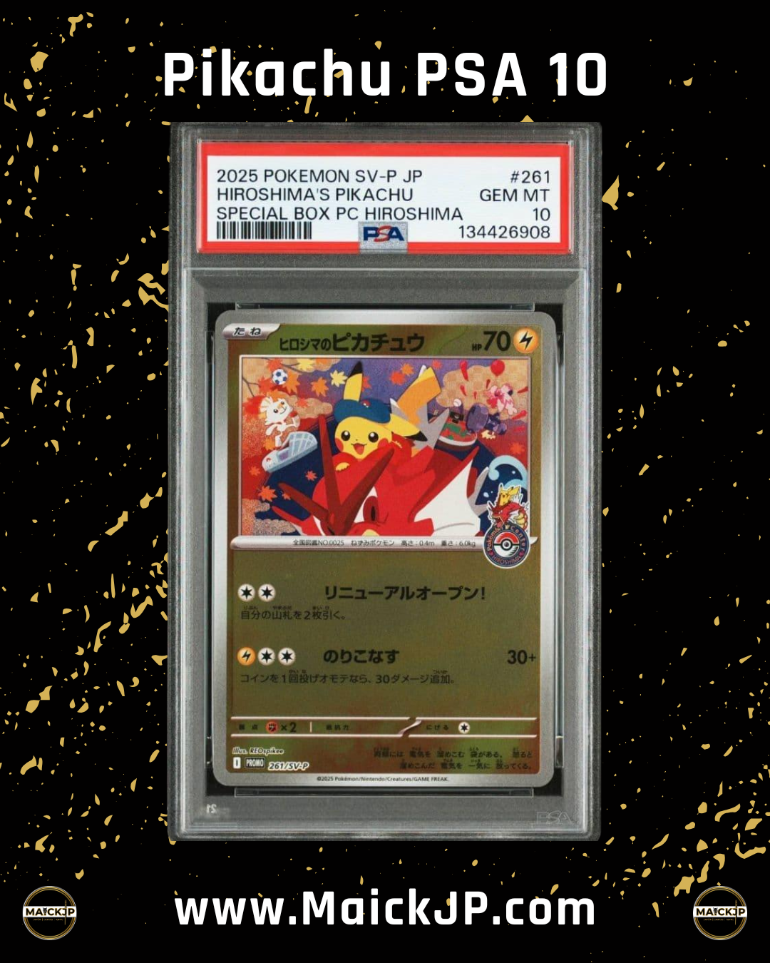 Hiroshima Pikachu Special Box