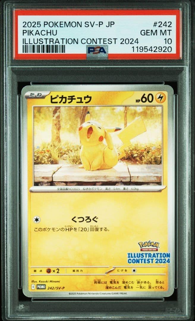 Pikachu illustration contest 2024