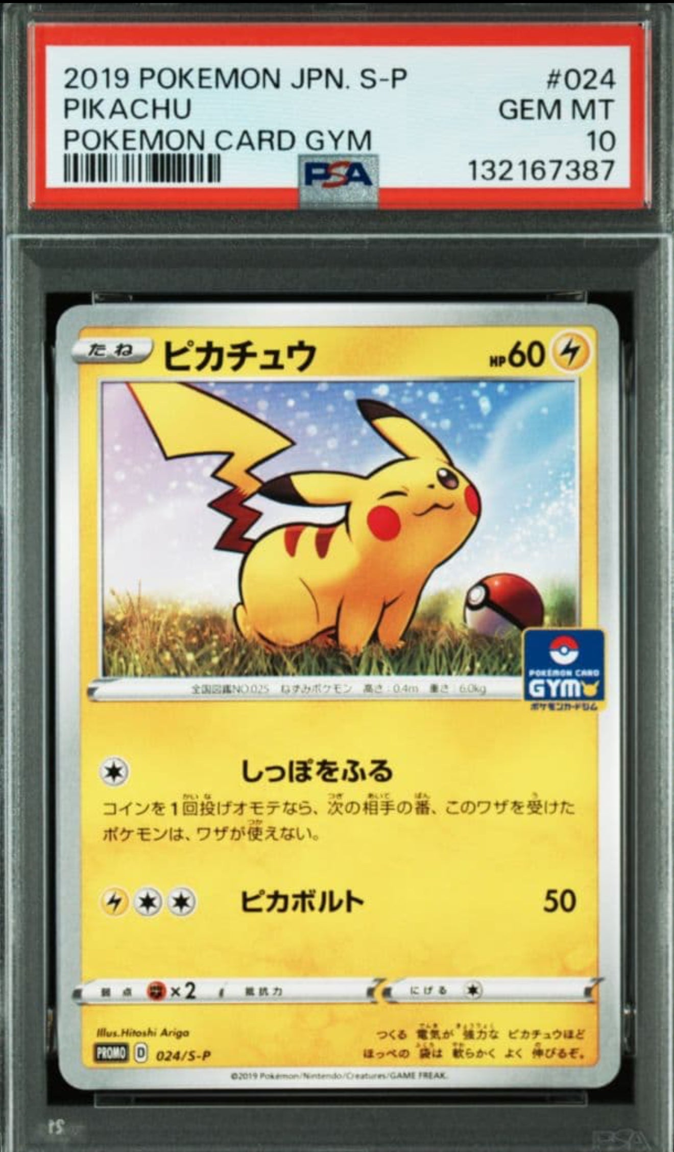 Pikachu card gym